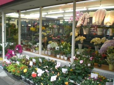 「ＨＡＮＡＵＴＡ”」　（東京都荒川区）の花屋店舗写真2